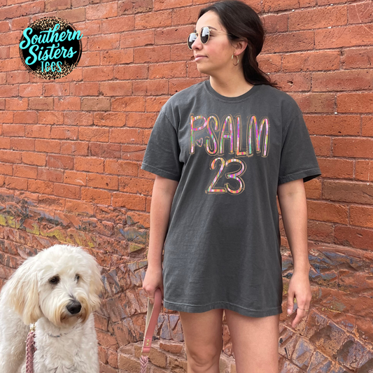Psalms 23 Rainbow Tee Shirt